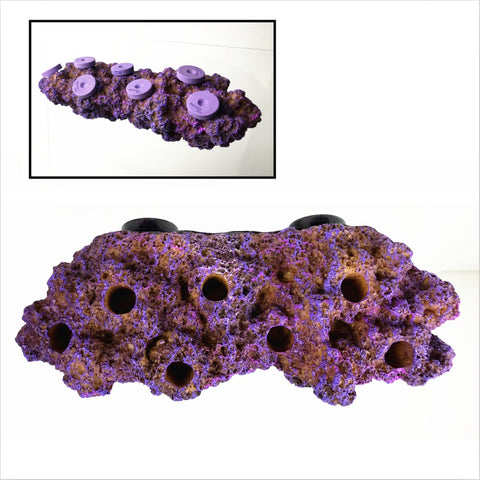 Reefing Art Magnetic Reef Frag Rack N52 Magnets