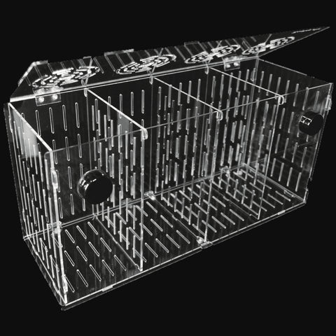 Magnetic Fish & Coral Acclimation Breeder Box – Reefing Art AquaTech Magnetic Fish & Coral Acclimation Breeder Box – Reefing Art AquaTech
